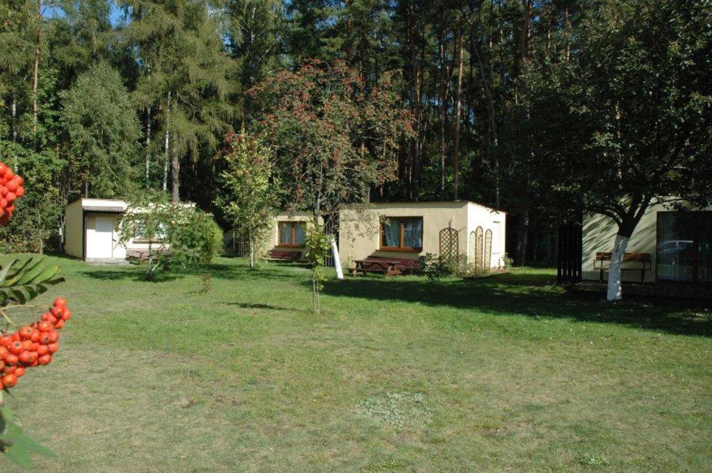 Ow Mikomania Charzykowy Exteriör bild